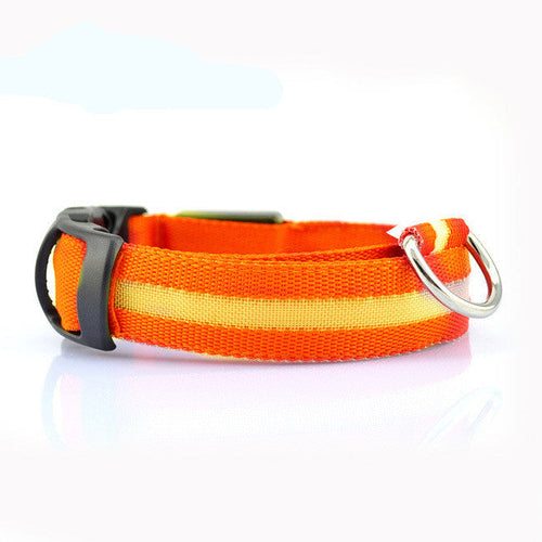 Collier LED Sécurité pour Chien — Visible la Nuit, Protégé en Toute Promenade