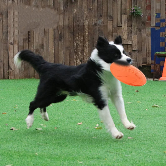Frisbee en Silicone pour Chien et Chat — Résistant aux Morsures, Parfait pour l'Été 🌞