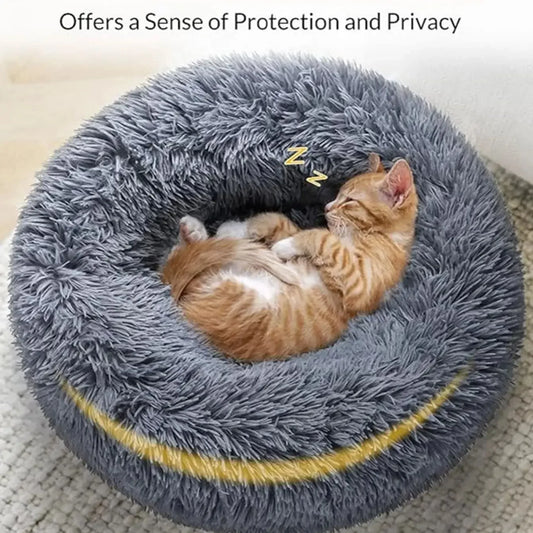 Nid Caverne Confort pour Chat — Sommeil Profond Garanti