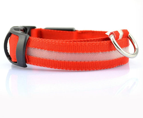 Collier LED Sécurité pour Chien — Visible la Nuit, Protégé en Toute Promenade