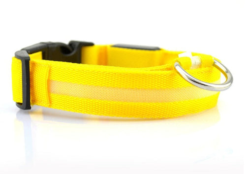 Collier LED Sécurité pour Chien — Visible la Nuit, Protégé en Toute Promenade