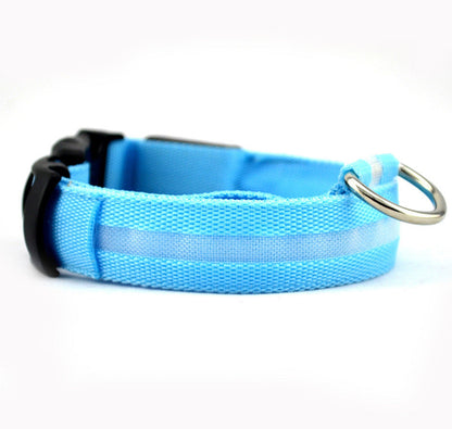 Collier LED Sécurité pour Chien — Visible la Nuit, Protégé en Toute Promenade