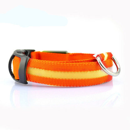 Collier LED Sécurité pour Chien — Visible la Nuit, Protégé en Toute Promenade