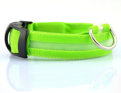 Collier LED Sécurité pour Chien — Visible la Nuit, Protégé en Toute Promenade