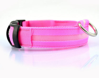 Collier LED Sécurité pour Chien — Visible la Nuit, Protégé en Toute Promenade