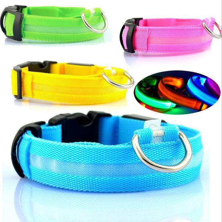 Collier LED Sécurité pour Chien — Visible la Nuit, Protégé en Toute Promenade