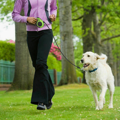 Laisse Rétractable pour Chien 5m — Légère & Confortable