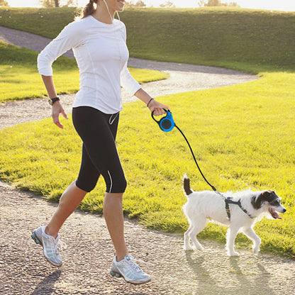 Laisse Rétractable pour Chien 5m — Légère & Confortable