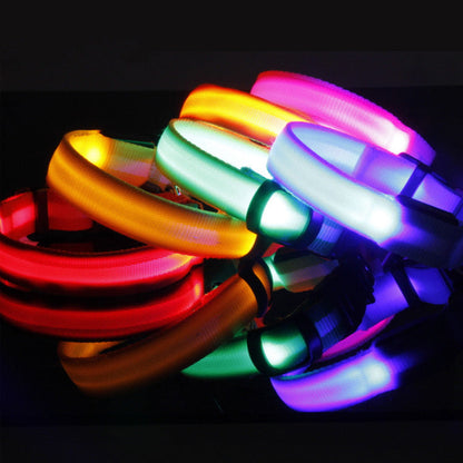 Collier LED Sécurité pour Chien — Visible la Nuit, Protégé en Toute Promenade