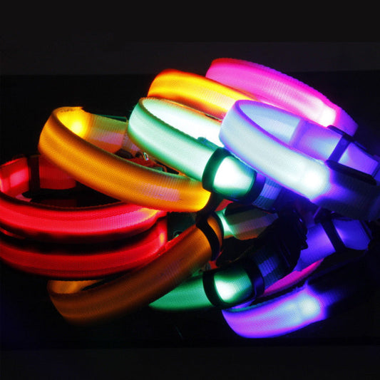 Collier LED Sécurité pour Chien — Visible la Nuit, Protégé en Toute Promenade
