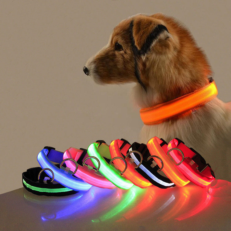 Collier LED Sécurité pour Chien — Visible la Nuit, Protégé en Toute Promenade
