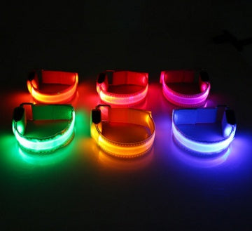 Collier LED Sécurité pour Chien — Visible la Nuit, Protégé en Toute Promenade