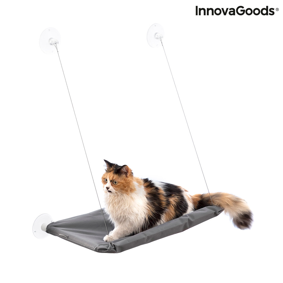 Hamac suspendu pour chat