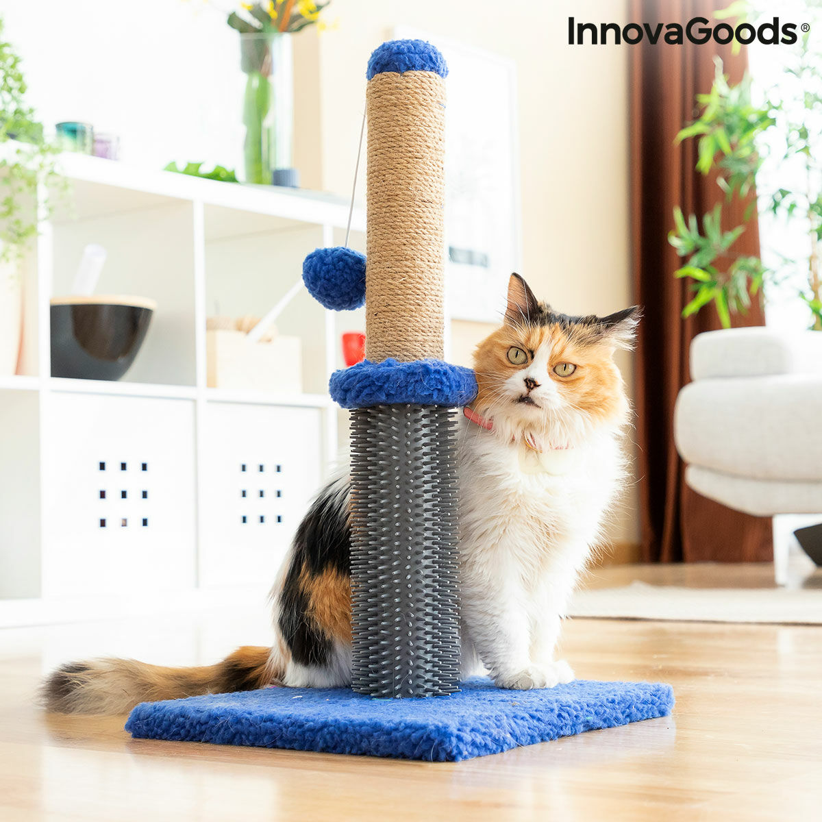 Griffoir et poteau de massage pour chat avec balle