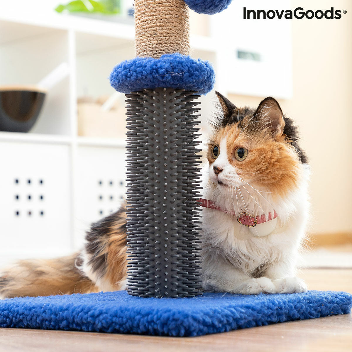 Griffoir et poteau de massage pour chat avec balle