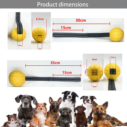 Balle sur Corde pour Chien — Mousse EVA Flottante, Lancer Loin & Tir à la Corde 🎾