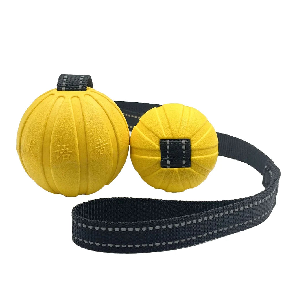 Balle sur Corde pour Chien — Mousse EVA Flottante, Lancer Loin & Tir à la Corde 🎾