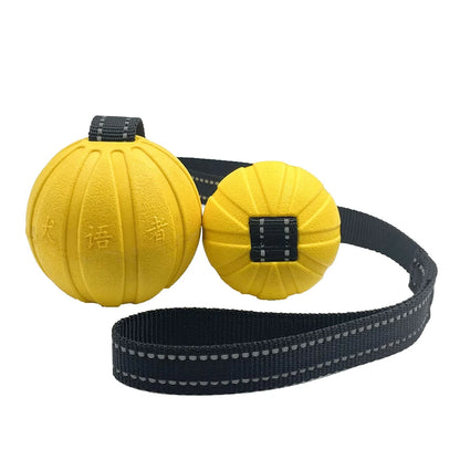 Balle sur Corde pour Chien — Mousse EVA Flottante, Lancer Loin & Tir à la Corde 🎾