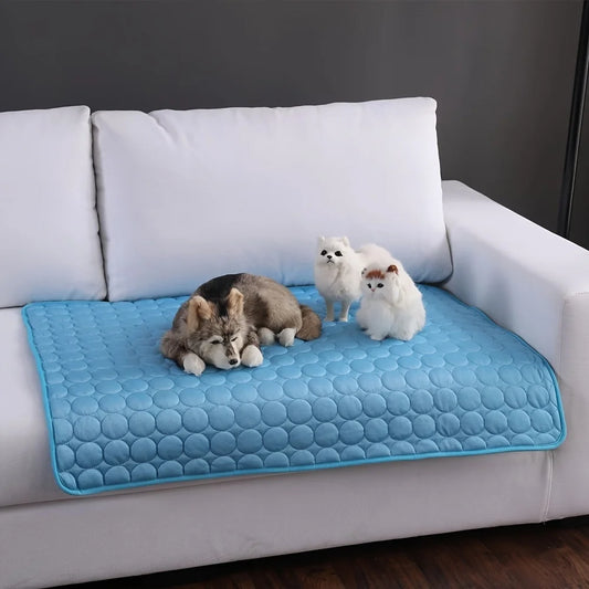 Tapis Rafraîchissant pour Chien et Chat — Gel Rafraîchissant, 7 Tailles, Parfait pour l'Été ☀️