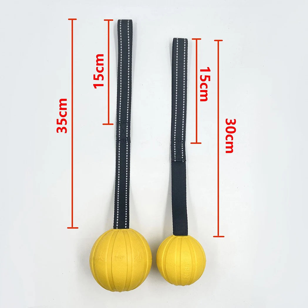 Balle sur Corde pour Chien — Mousse EVA Flottante, Lancer Loin & Tir à la Corde 🎾