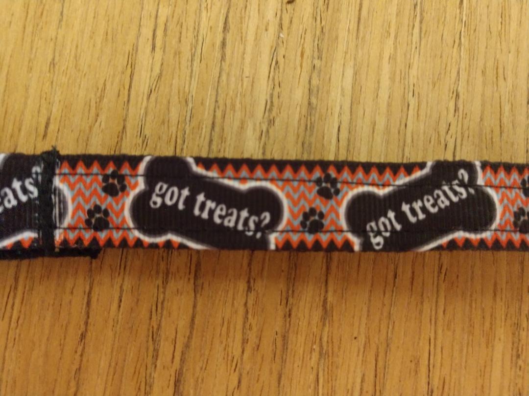 Collier 'Got Treats?' pour Chien