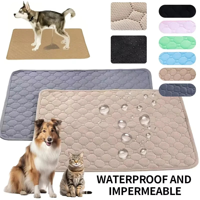 Tapis d'Éducation Lavable & Réutilisable pour Chien & Chiot — Absorbant, Antidérapant & Imperméable 🐾