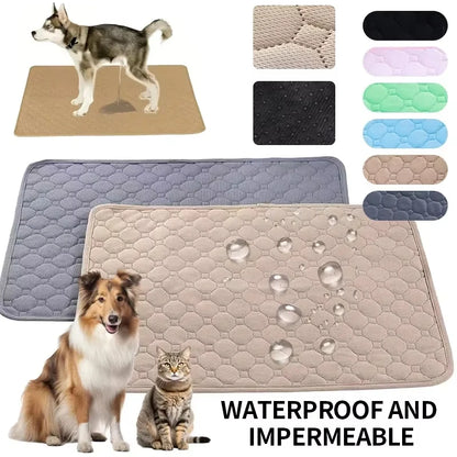 Tapis d'Éducation Lavable & Réutilisable pour Chien & Chiot — Absorbant, Antidérapant & Imperméable 🐾