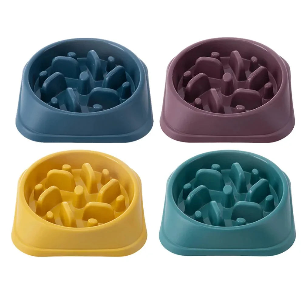 Gamelle Anti-Glouton pour Chien & Chat — Alimentation Lente, Antidérapante & Anti-Ballonnement 🍽️