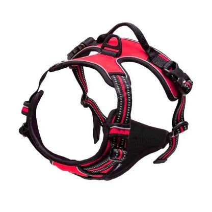 Harnais Anti-Traction Clip Avant pour Chien