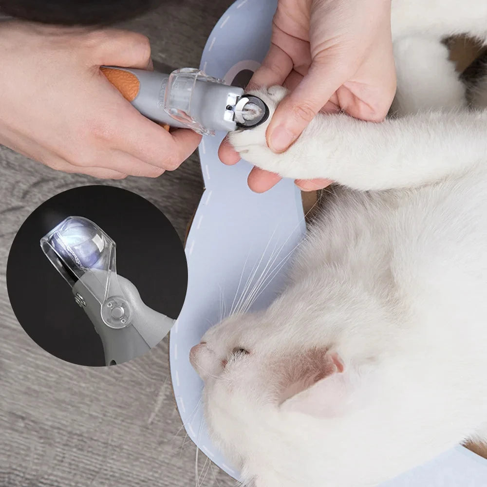 Coupe-Ongles Professionnel pour Chien et Chat — Lumière LED Intégrée & Précision Maximale