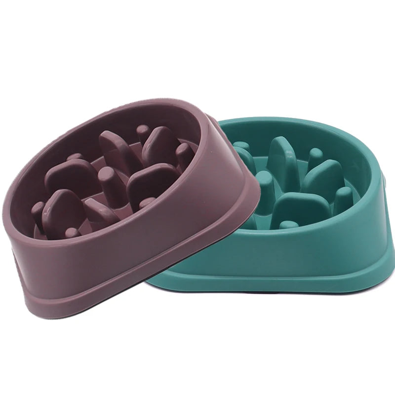 Gamelle Anti-Glouton pour Chien & Chat — Alimentation Lente, Antidérapante & Anti-Ballonnement 🍽️