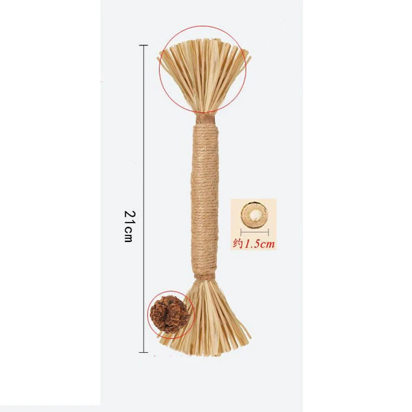 Bâtonnets Dentaires en Bois Naturel Polygonum pour Chat (Lot)