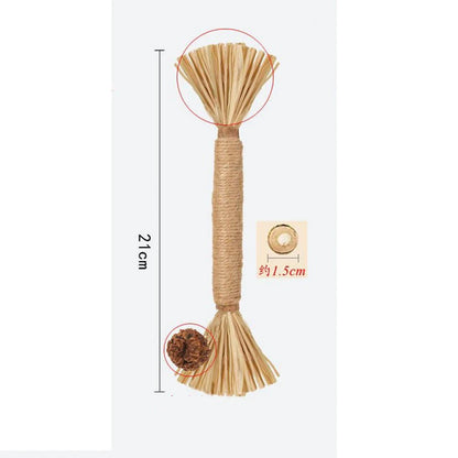 Bâtonnets Dentaires en Bois Naturel Polygonum pour Chat (Lot)