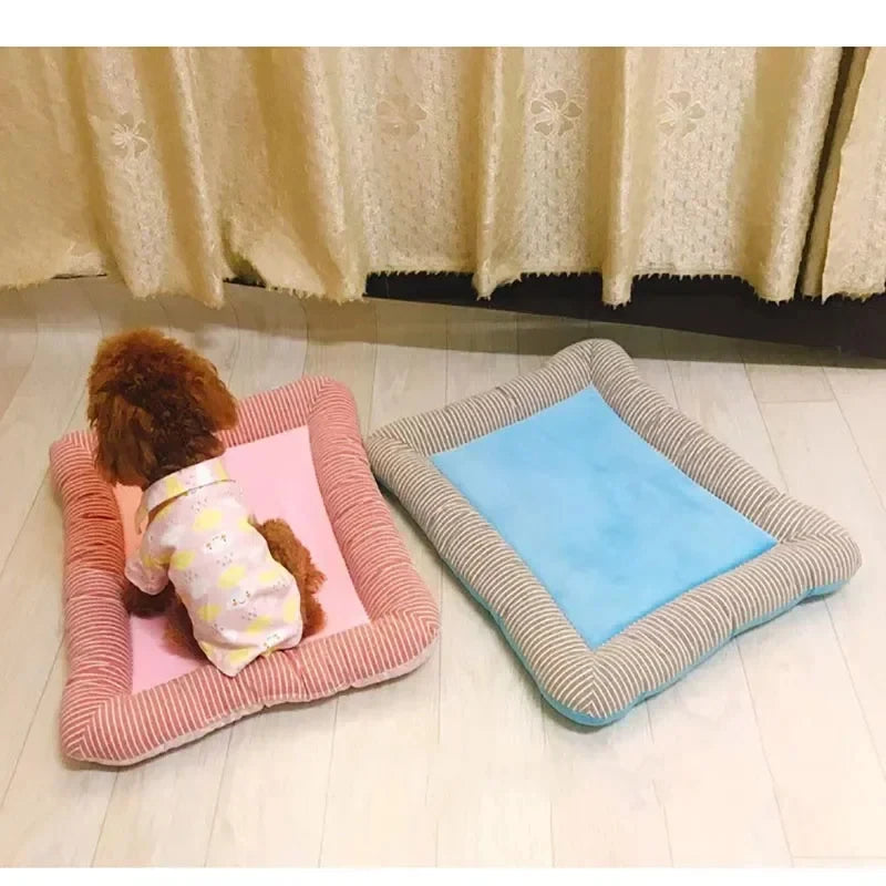 Lit Rafraîchissant pour Chien & Chat — Coussin de Glace Respirant, Bords Surélevés (Été) ❄️