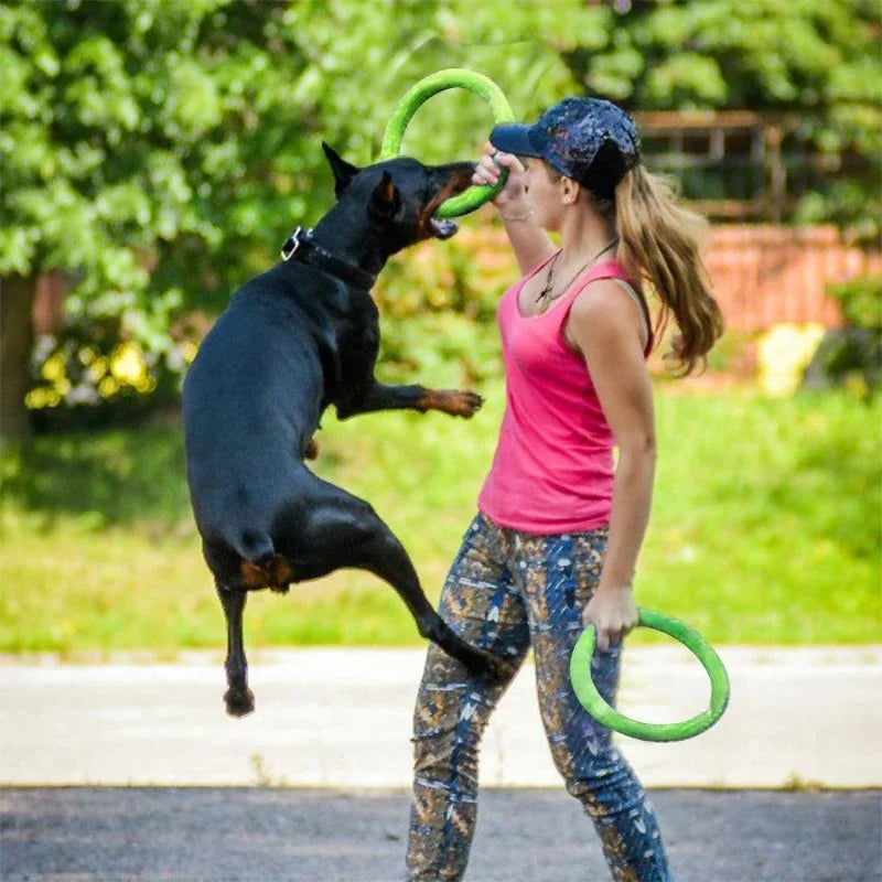 Anneau d'Entraînement Flottant pour Chien — Résistant aux Morsures, Tir & Lancer 🟢