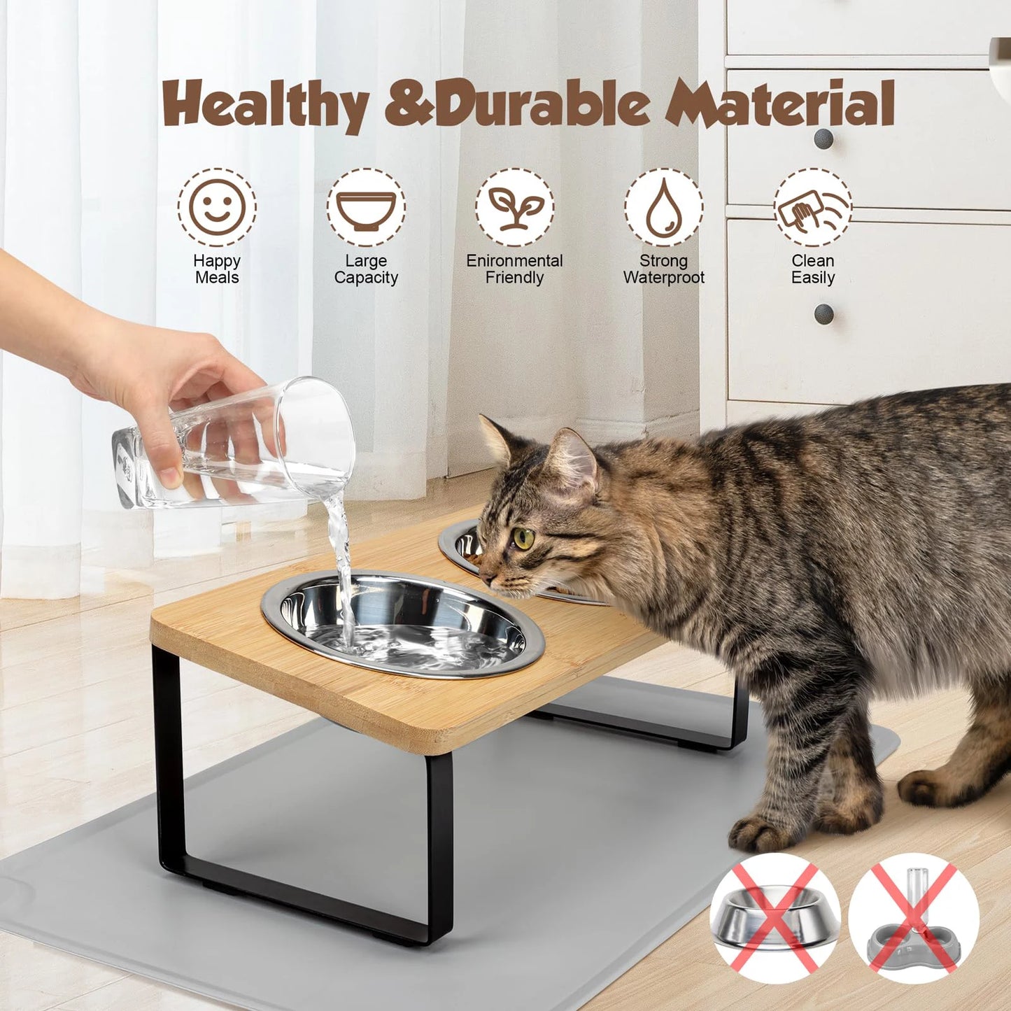 Gamelle Surélevée Automatique avec Fontaine — Grande Capacité