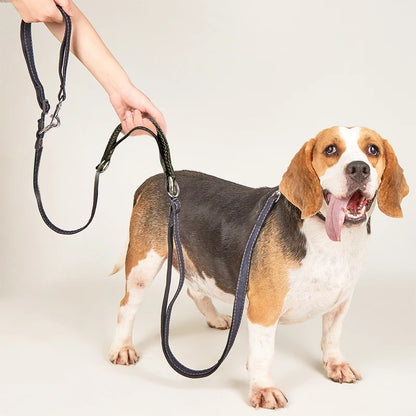 Laisse Multifonctionnelle Mains Libres pour Chien — Réglable, Double Mousqueton & Tissu Jean 🦮