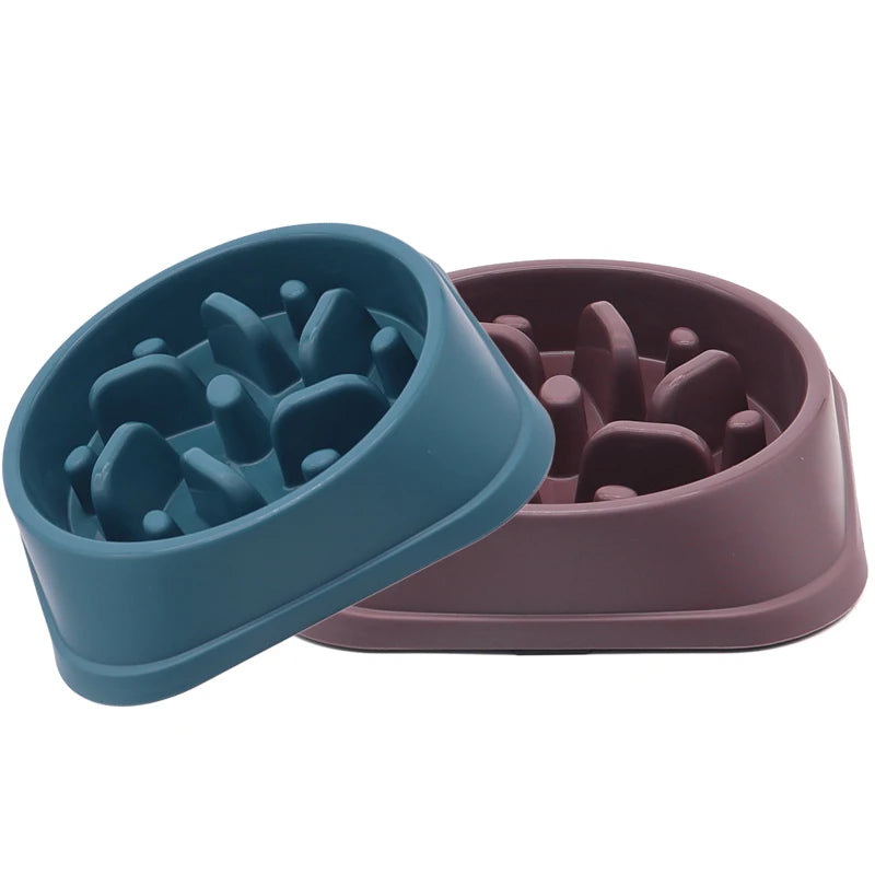 Gamelle Anti-Glouton pour Chien & Chat — Alimentation Lente, Antidérapante & Anti-Ballonnement 🍽️