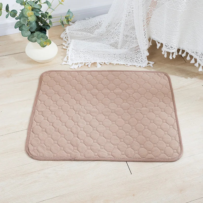 Tapis d'Éducation Lavable & Réutilisable pour Chien & Chiot — Absorbant, Antidérapant & Imperméable 🐾