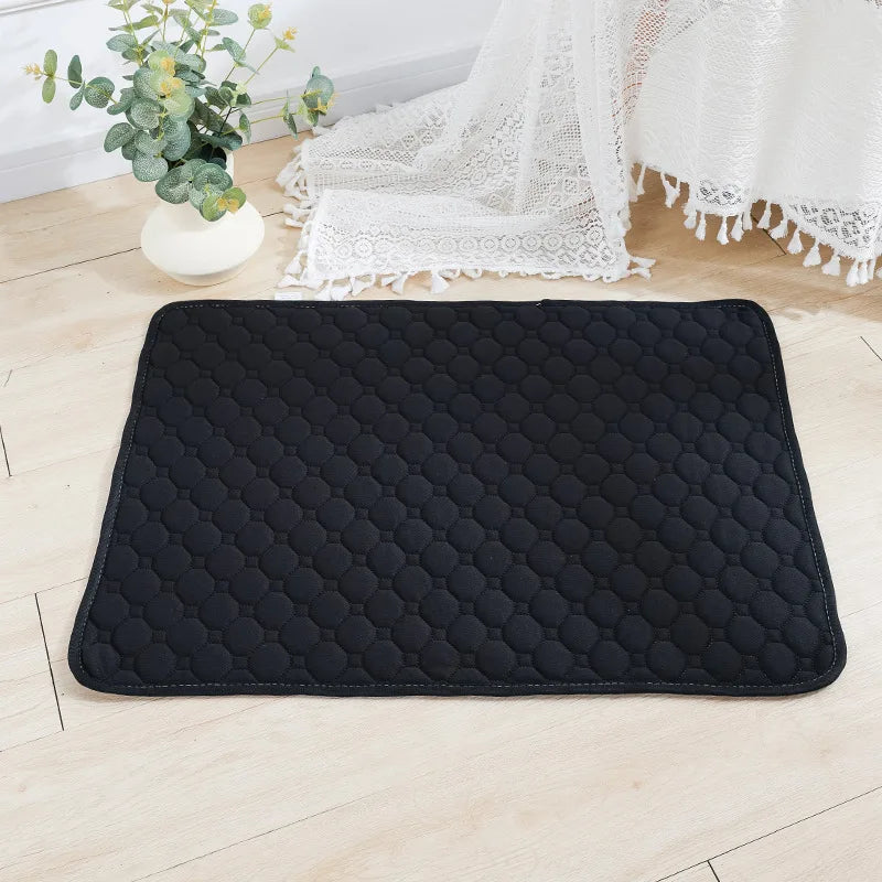 Tapis d'Éducation Lavable & Réutilisable pour Chien & Chiot — Absorbant, Antidérapant & Imperméable 🐾