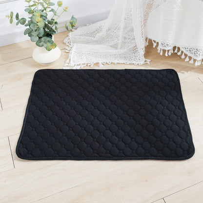 Tapis d'Éducation Lavable & Réutilisable pour Chien & Chiot — Absorbant, Antidérapant & Imperméable 🐾