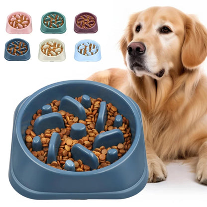 Gamelle Anti-Glouton pour Chien & Chat — Alimentation Lente, Antidérapante & Anti-Ballonnement 🍽️
