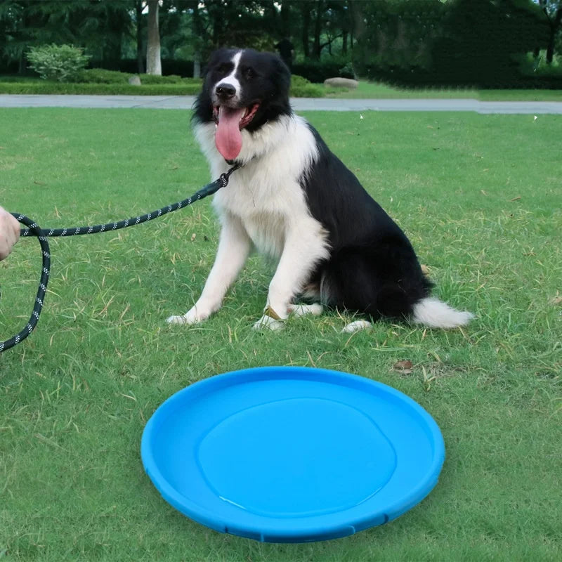 Frisbee en Silicone pour Chien et Chat — Résistant aux Morsures, Parfait pour l'Été 🌞