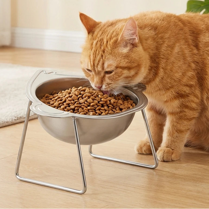 Gamelle Surélevée Inclinée 15° en Inox pour Chat & Chien — Anti-Cervicales & Posture Saine 🍽️