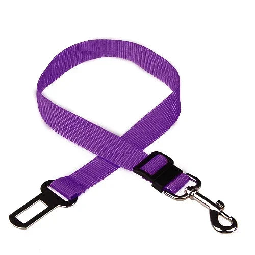 Ceinture de Sécurité Voiture Chien & Chat — Réglable, Clip Universel