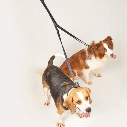 Laisse Multifonctionnelle Mains Libres pour Chien — Réglable, Double Mousqueton & Tissu Jean 🦮