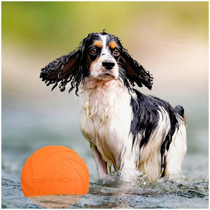 Frisbee en Silicone pour Chien et Chat — Résistant aux Morsures, Parfait pour l'Été 🌞