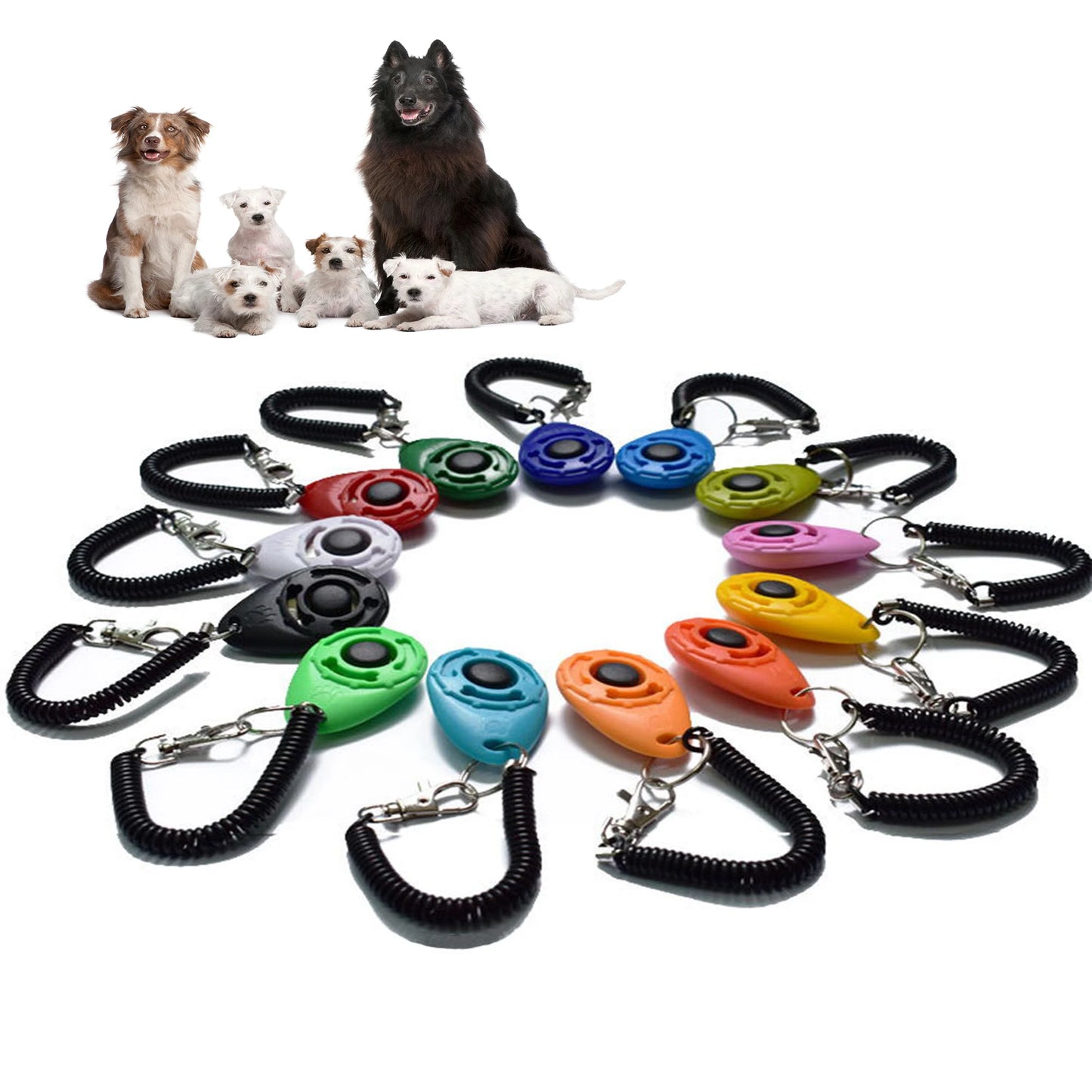Clicker de Dressage pour Chien & Chat — Éducation Positive, Dragonne & Son Net 🔔