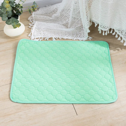 Tapis d'Éducation Lavable & Réutilisable pour Chien & Chiot — Absorbant, Antidérapant & Imperméable 🐾