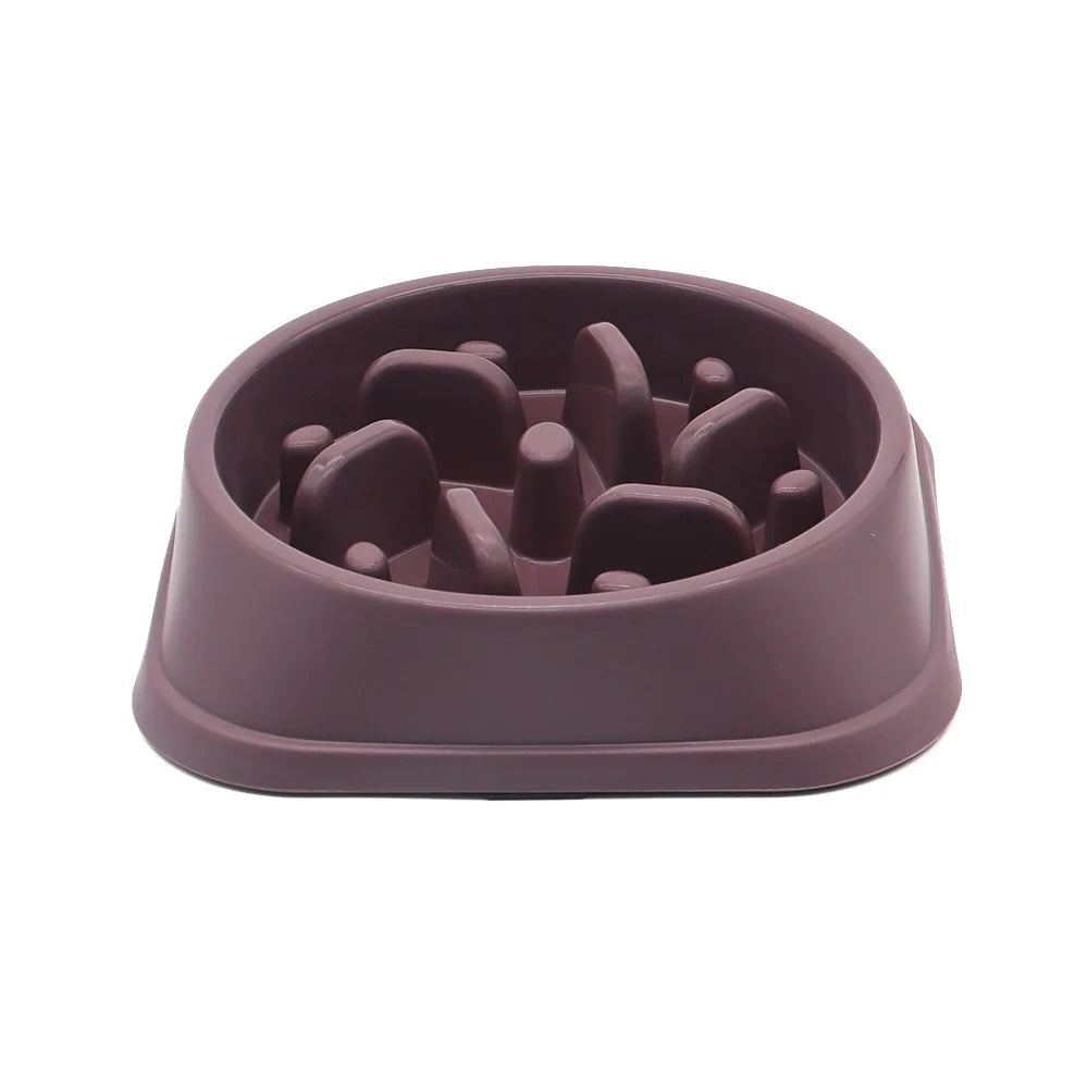 Gamelle Anti-Glouton pour Chien & Chat — Alimentation Lente, Antidérapante & Anti-Ballonnement 🍽️